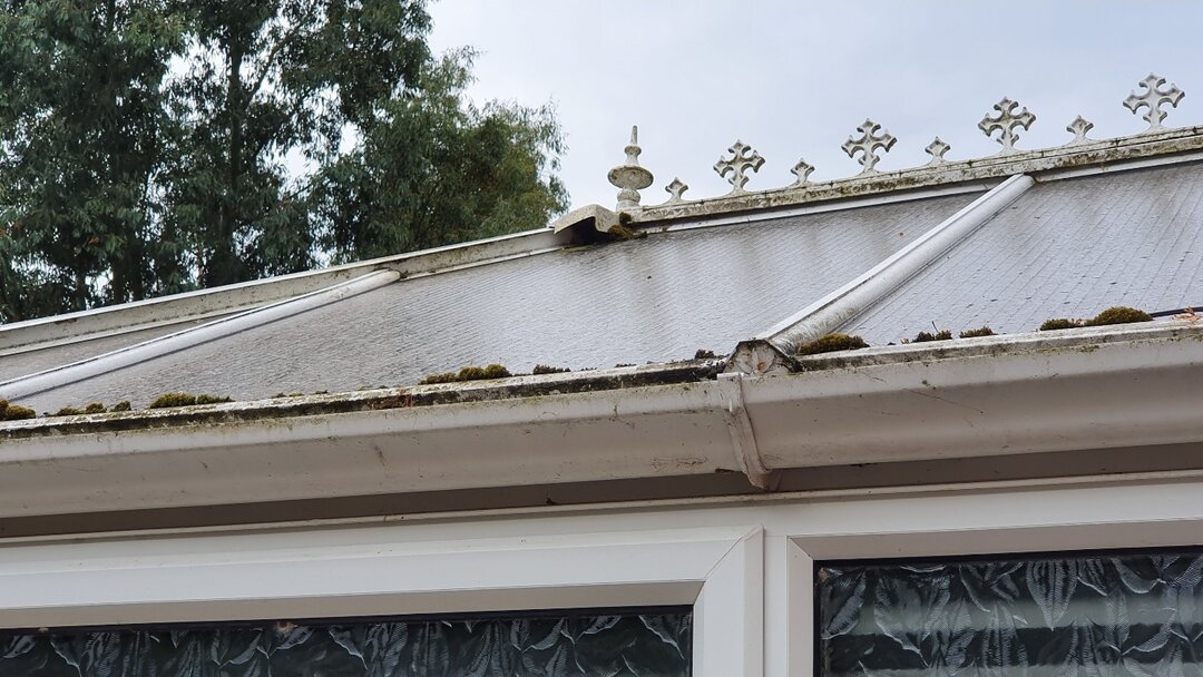 Conservatory roof in Bedford before cleaning — heavy green algae, moss in the gutters and dirty polycarbonate panels