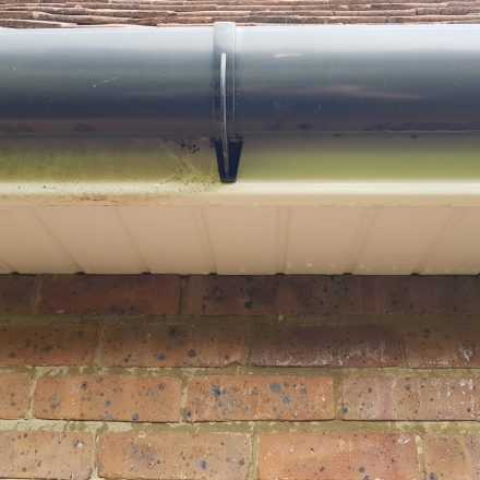 Fascia and soffits cleaning